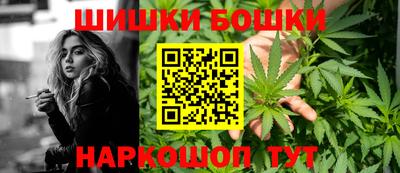 Альфа ПВП Кингисепп