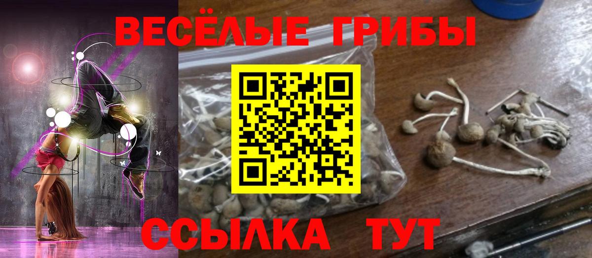 Лабинск  Галлюциногенные грибы мухоморы  Галлюциногенные грибы Cubensis  Вход с VPN 